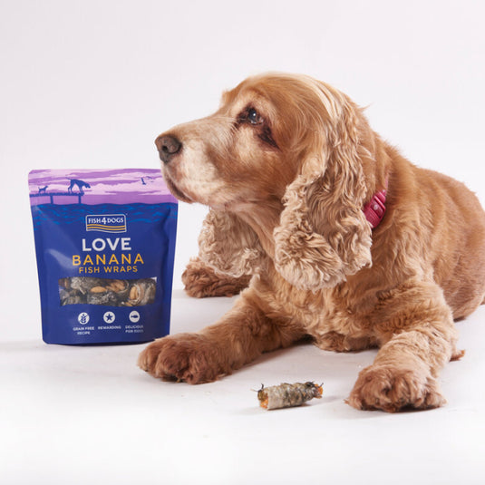 Fish4dogs love banana wraps 100g