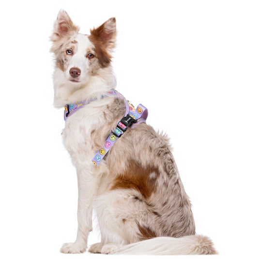 Arnés Trail Para Perro Smiley