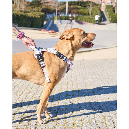 Arnés Trail Para Perro Smiley