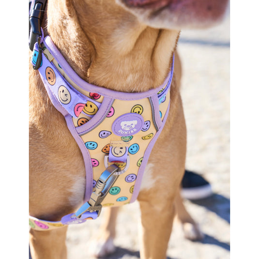Arnés Trail Para Perro Smiley