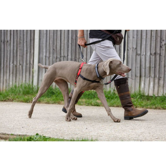 Arnes Halti control delantero L