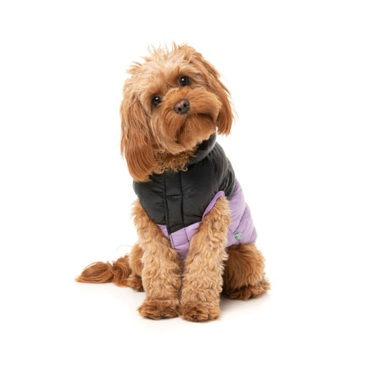 FuzzYard Jacket-South Harlem-Lilac