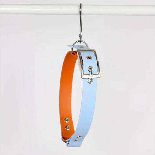 Collar Classic - Glacier & Amber Hociqo
