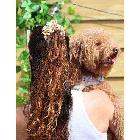 Coletero Smiley Dukier