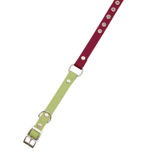 Collar Classic - Matcha & Velvet Hociqo