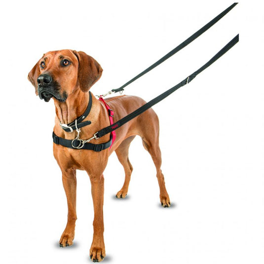 Arnes Halti control delantero L