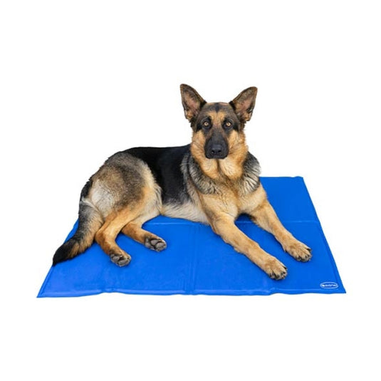 Alfombra refrescante para perros y gatos