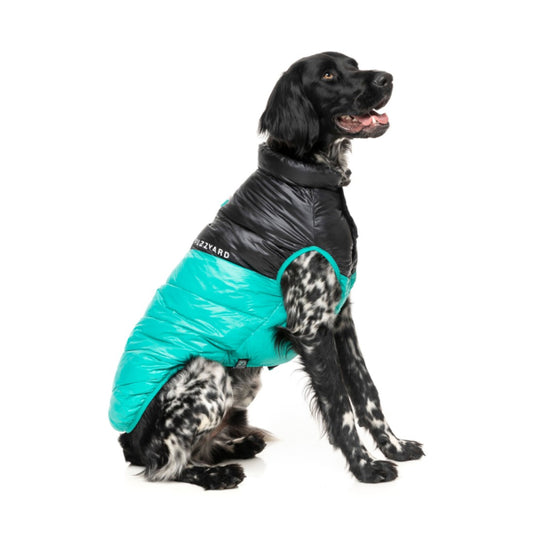 FuzzYard Jacket - South Harlem - Teal