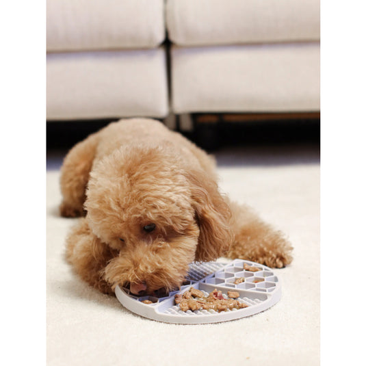 Lick Mat Para Perro Blue