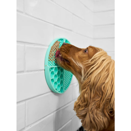 Lick Mat Para Perro Mint
