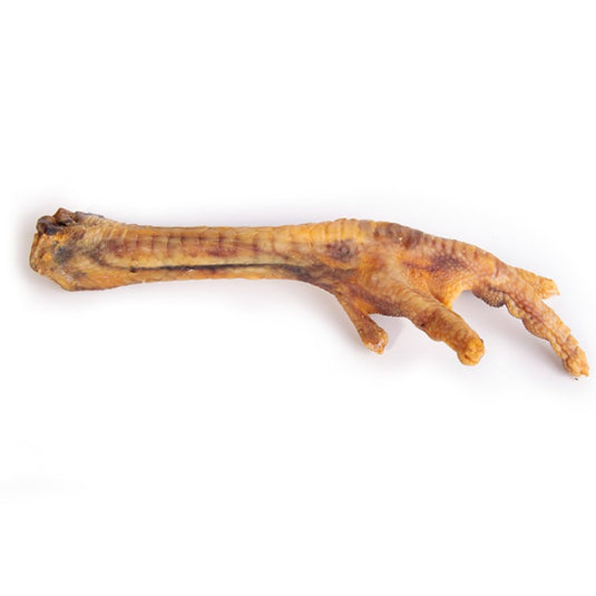 Pata de pavo para perros