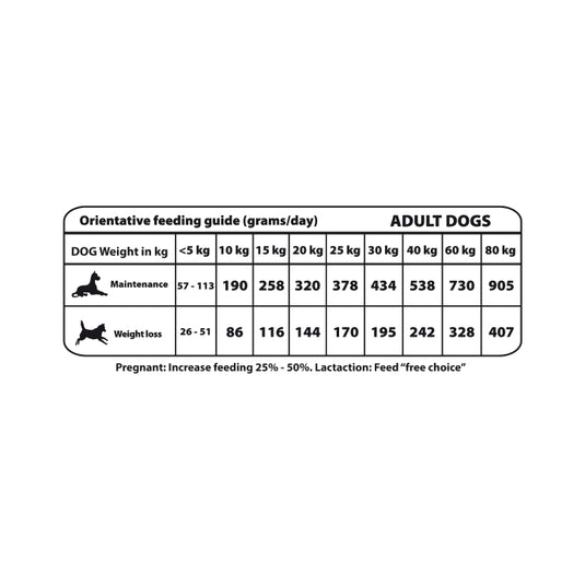 Receta conejo light y fit