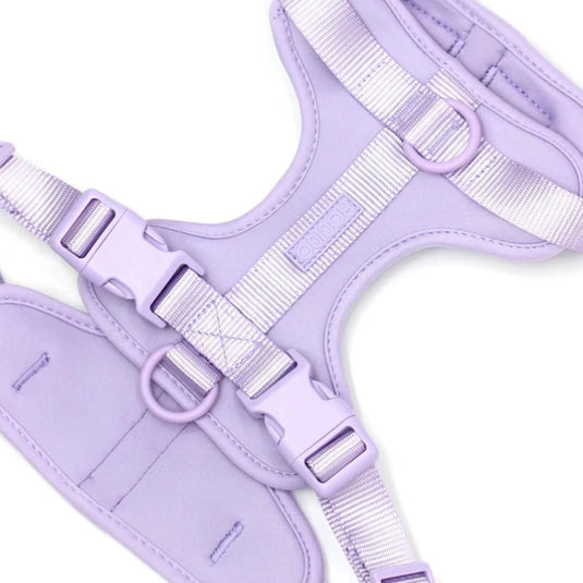 Arnés Sport - Lilac Hociqo