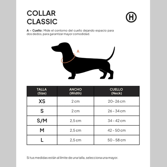 Collar Classic - Matcha & Velvet Hociqo