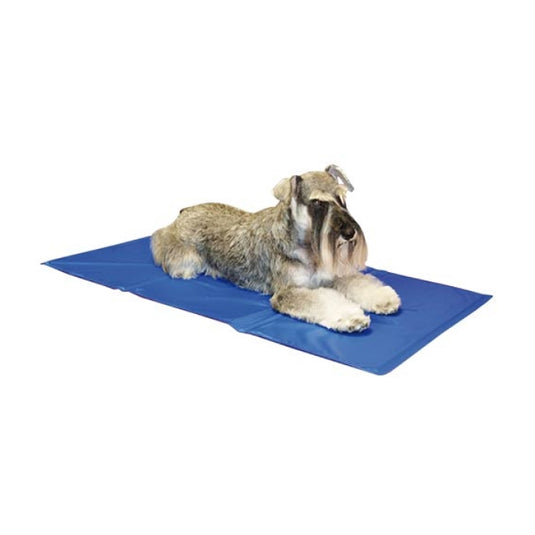 Alfombra refrescante para perros y gatos