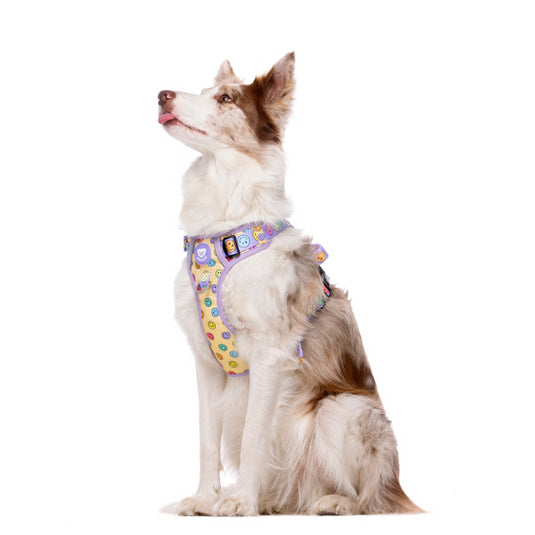 Arnés Trail Para Perro Smiley