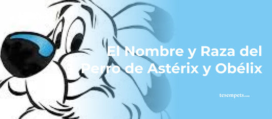 El Nombre y Raza del Perro de Astérix y Obélix