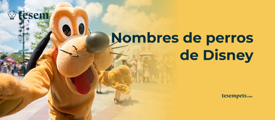 Nombres de Perros de Disney: Una Guía Completa para 2024