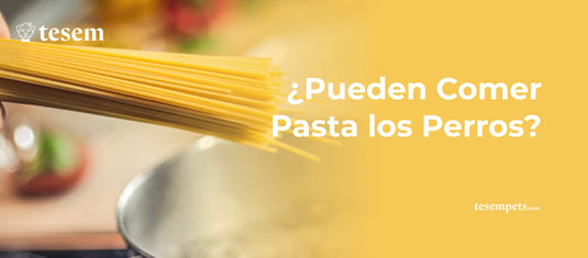 ¿Pueden Comer Pasta los Perros?