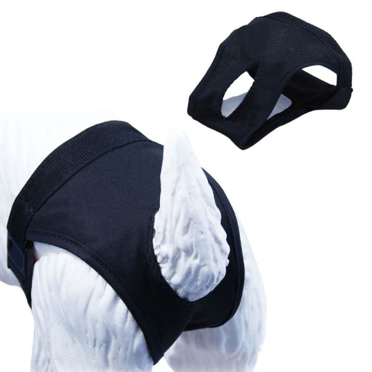 Slip-braguita