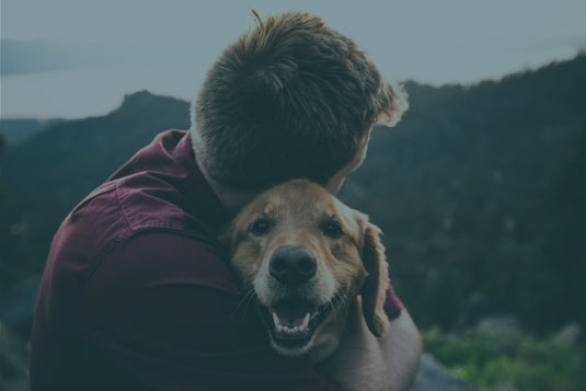 Cartílago de escápula de ciervo 100g para perros