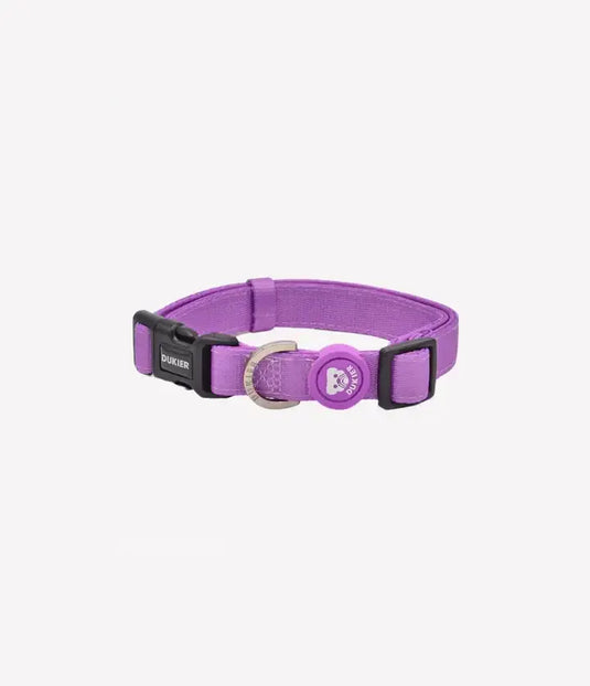 collar perro purple