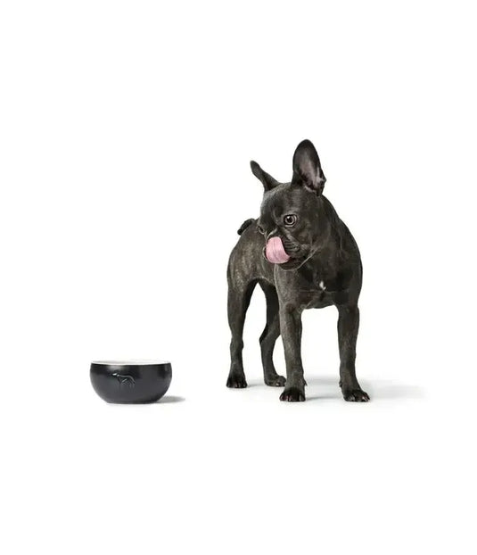 comedero ceramica color negro perro lund