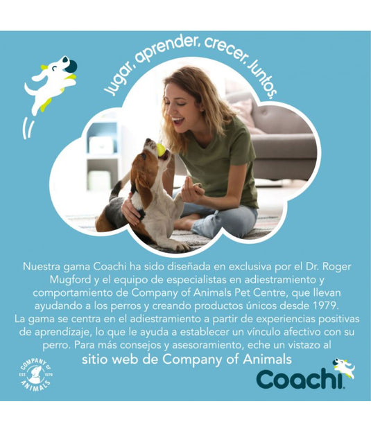 COACHI PUPPY TRAINING LINE AZUL 2.5M