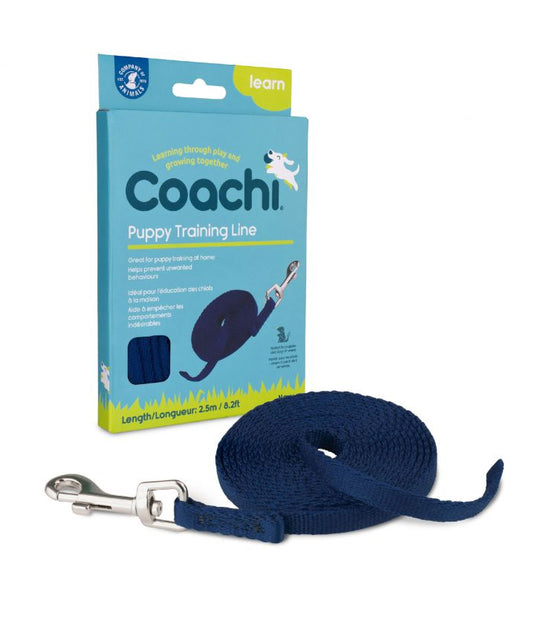 COACHI PUPPY TRAINING LINE AZUL 2.5M