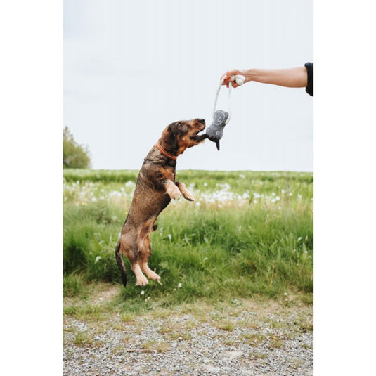 Juguete para perro Cuerda Caballo nebraska