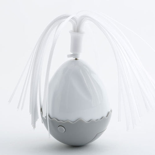 Electronic Motion Egg