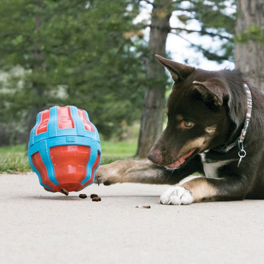 Kong treat Spinner
