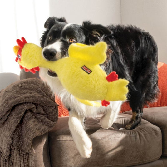 Peluche Kong scruffs Chicken M/L