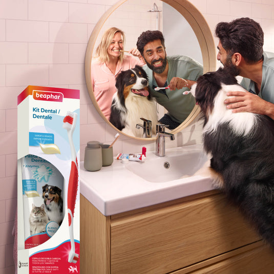 Beaphar pack dental pasta dental+cepillo