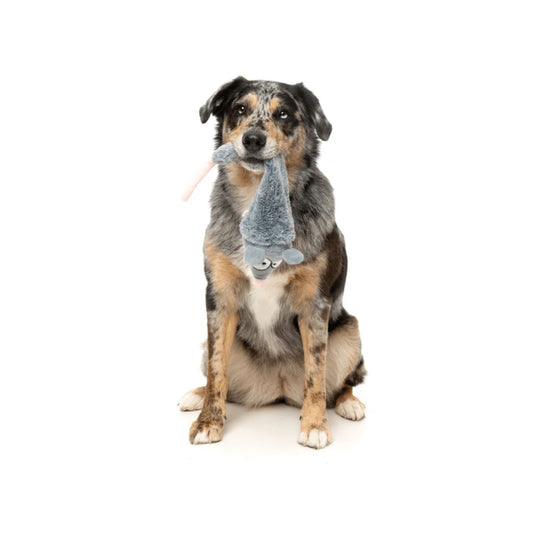 Rack Off Rat The Yeetz - Juguete para perros