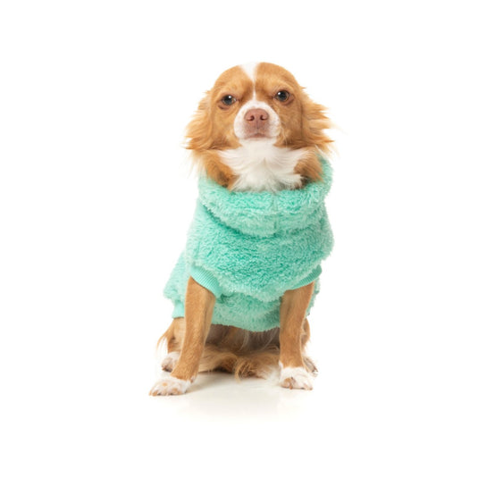 FuzzYard Sweater - Turtle Teddy - Teal