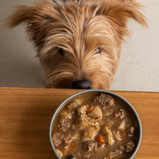 Cazuela casera de Ternera y Piña para perros 280g