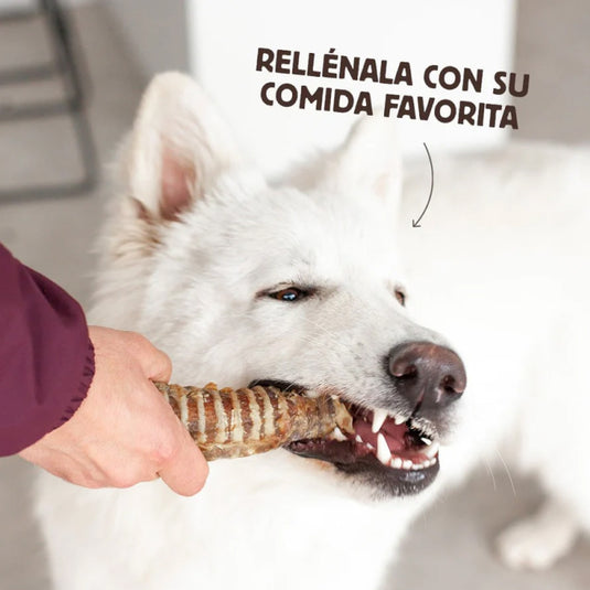 Traquea de ternera 100 g